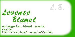 levente blumel business card
