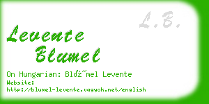 levente blumel business card